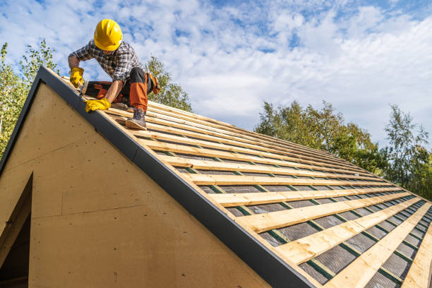 Best Commercial Roofing Services  in Todd Creek, CO