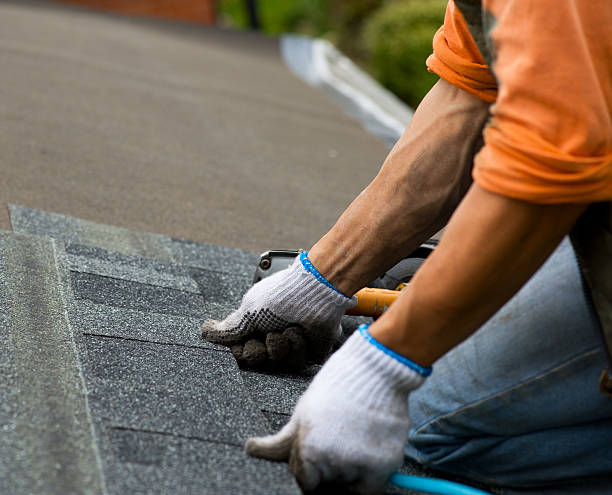 Quick and Trustworthy Emergency Roof Repair Services in Todd Creek, CO